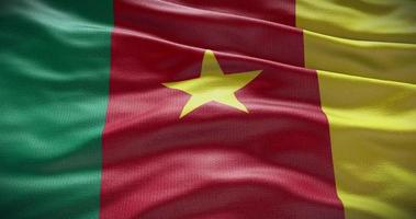 Cameroon flag background. National flag of country waving video