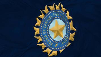 Board of Control for Cricket in India, BCCI Flag Seamless Looping Background, Looped Bump Texture Cloth Waving Slow Motion, 3D Rendering video