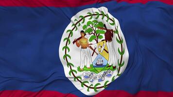 Belize vlag naadloos looping achtergrond, lusvormige buil structuur kleding golvend langzaam beweging, 3d renderen video