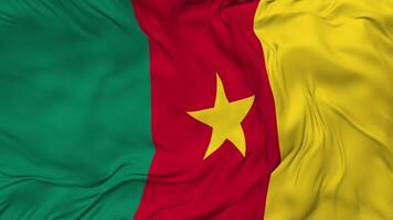 cameroon flagga sömlös looping bakgrund, looped stöta textur trasa vinka långsam rörelse, 3d tolkning video