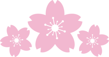mooi roze sakura kers bloesem illustratie. png