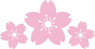 lindo Rosa sakura cereja Flor ilustração. png