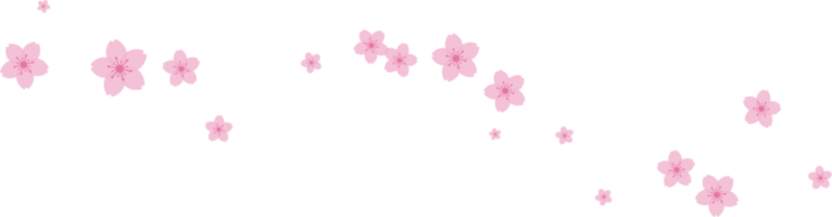 lindo Rosa sakura cereja Flor ilustração. png