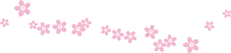 bellissimo rosa sakura ciliegia fiorire illustrazione. png