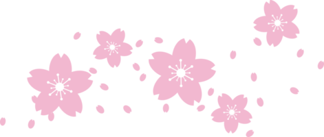 skön rosa sakura körsbär blomma illustration. png