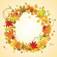 Autumn maple leaves  background vector