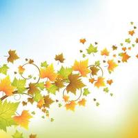 Autumn maple leaves  background vector