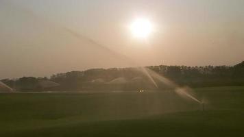 high-pressure sprinkler is spraying water on the golf course grass, spinning in circles to spread water evenly. Sprinklers spraying water against the yellow evening sun at golf course. video