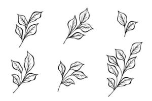 Black silhouette set of hand drawn tree branches with leaves botanical hand drawn. Flat vector illustration