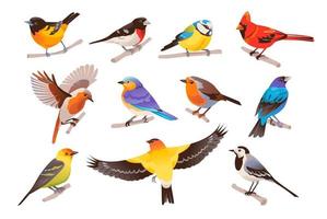 Spring colorful birds set. Little birds sit on a branch. Vector illustration isolated on white background.