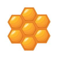 Honeycombs with honey. Illustration in flat style vector