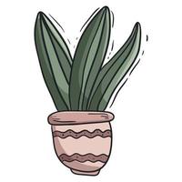Vector isolated doodle cactus in a pot.