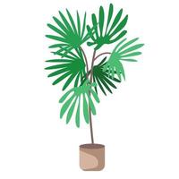 Vector Illustration of a Potted Palm Tree in a Modern Planter