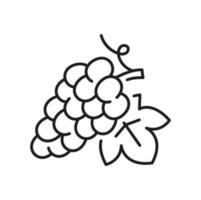 Bunch of grape on stem isolated berries leaf icon vector