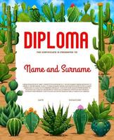 Kids diploma. mexican prickly cactus succulents vector