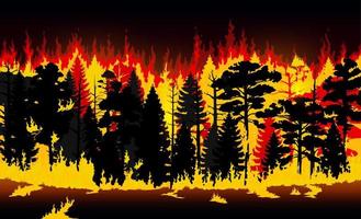 Forest fire, burning trees and grass, wildfire vector