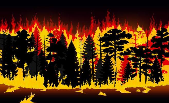 Forest fire, burning trees and grass, wildfire