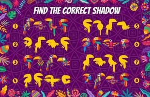 Find correct shadow, cartoon toucan birds, game vector