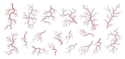 Red veins, anatomy, blood vein artery or capillary vector