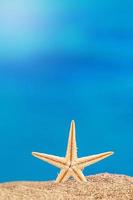 Starfish stands on sand on beach, behind sea. Vacation, beach, travel concept. Vertical. Copy space photo