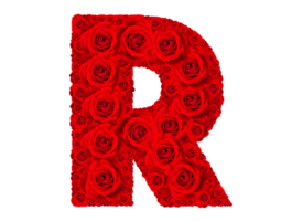 Rose alphabet set - Alphabet capital letter R made from red rose blossoms png