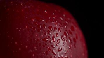 macro Disparo de rojo jugoso manzana con gotas de agua en un negro antecedentes. aislar. Copiar espacio. cerca arriba video