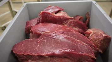 A close-up of fresh raw beef meat lies on the counter. Meat shop video