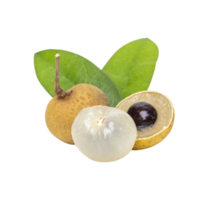 Fresh longan with leaf. full depth of field. File PNG. png