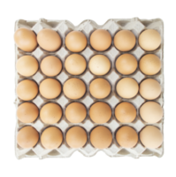 abierto huevo caja con 30 marrón huevos. Fresco orgánico pollo huevos en caja de cartón paquete o huevo envase. parte superior ver archivo png. png
