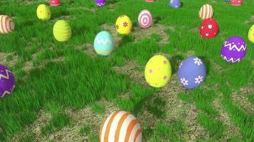 Easter Egg Grass Field video
