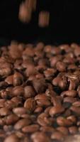 cámara lenta vertical de granos de café tostados cayendo. semillas de café orgánico. video