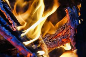 Fire burning wood photo