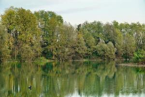 arboles a lo largo el río foto