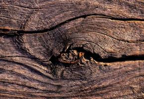 textura de madera rugosa foto