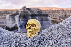 Toy skull on the gravel photo