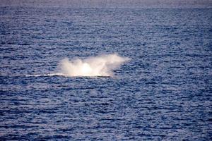 Waves in the ocean photo