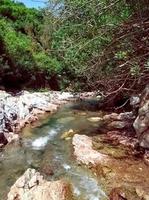 Summer oasis a journey through the serene stream valley amidst the heat photo