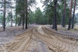 Traces of tractor wheels on a sandy forest road, traces of tractor tire tread on the surface of sand photo