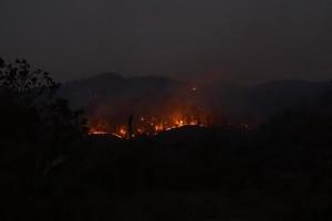 Forest fires spread quickly over a large area and are difficult to control. cause damage dangerous to wildlife villagers' houses and air pollution. Soft and selective focus. photo