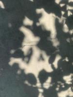 hojas de sombra en el fondo de la pared vieja foto