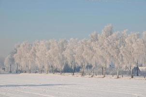 winter time in westphalia photo