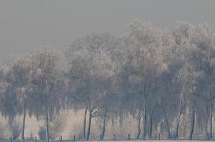 horario de invierno en westfalia foto