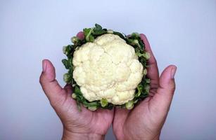 cauliflower is above both hands photo
