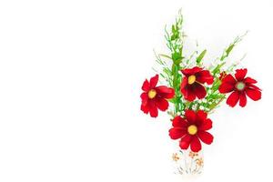 Red flowers and green plants in white ceramic vase on white brick background. photo