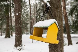 amarillo alimentador colgando en un árbol en invierno foto