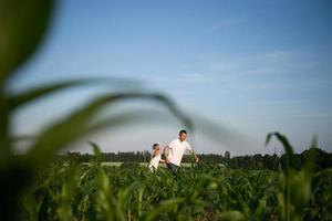 Cute boy in a cornfield with dad launching a plane photo