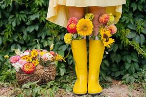 Feet in yellow rubber boots with autumn flowers near the vineyard photo