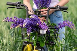 A cute girl is standing with a bouquet of lupines in a field near a bicycle photo