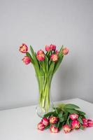 A bouquet of red peony tulips stand in a vase. Early varieties of tulips photo