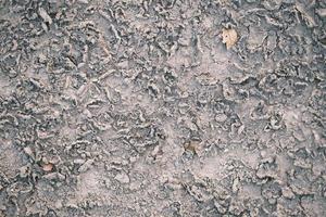 agrietado suelo cubierto con polvo foto